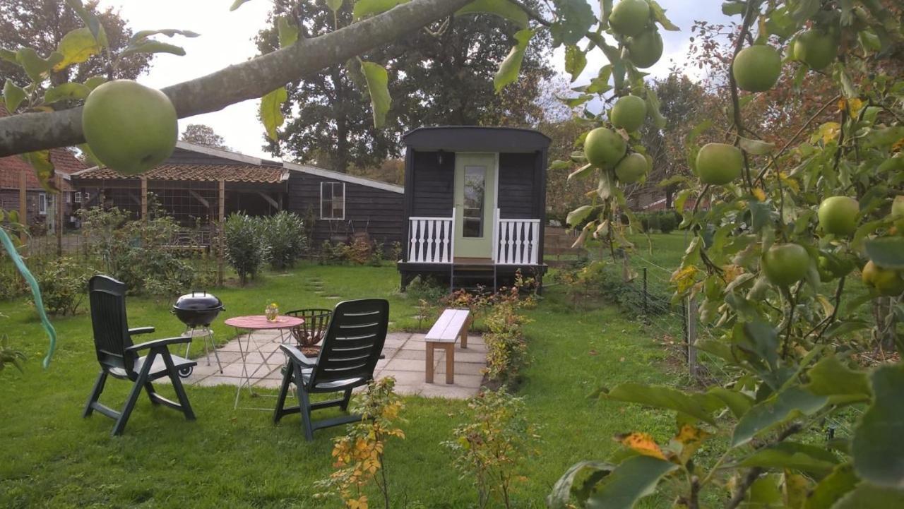 Pipowagen Elsebein Groningen Westerwolde Unieke Ligging Met Eigen Tuin En Vrij Uitzicht Over Veld Naar Natuurgebied Onstwedde ภายนอก รูปภาพ