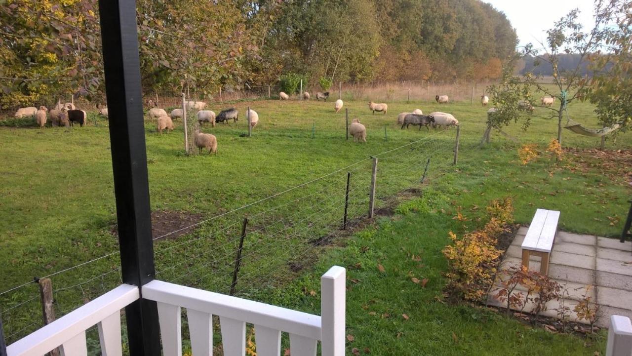Pipowagen Elsebein Groningen Westerwolde Unieke Ligging Met Eigen Tuin En Vrij Uitzicht Over Veld Naar Natuurgebied Onstwedde ภายนอก รูปภาพ
