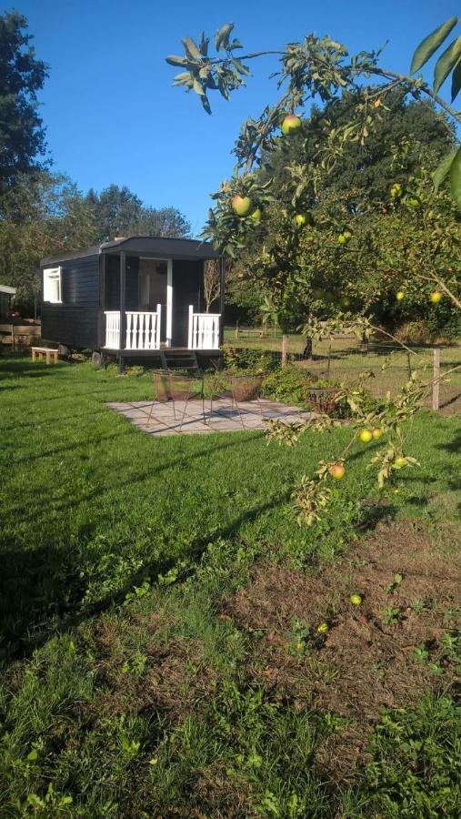 Pipowagen Elsebein Groningen Westerwolde Unieke Ligging Met Eigen Tuin En Vrij Uitzicht Over Veld Naar Natuurgebied Onstwedde ภายนอก รูปภาพ