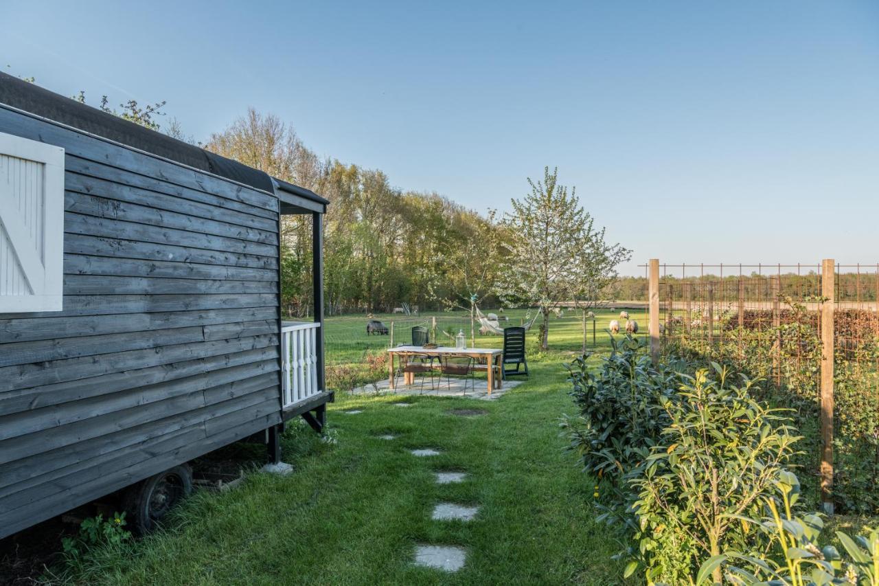 Pipowagen Elsebein Groningen Westerwolde Unieke Ligging Met Eigen Tuin En Vrij Uitzicht Over Veld Naar Natuurgebied Onstwedde ภายนอก รูปภาพ