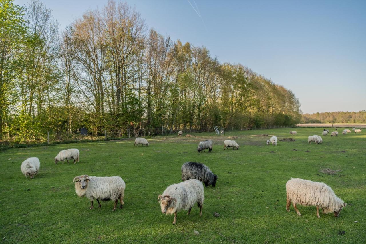 Pipowagen Elsebein Groningen Westerwolde Unieke Ligging Met Eigen Tuin En Vrij Uitzicht Over Veld Naar Natuurgebied Onstwedde ภายนอก รูปภาพ